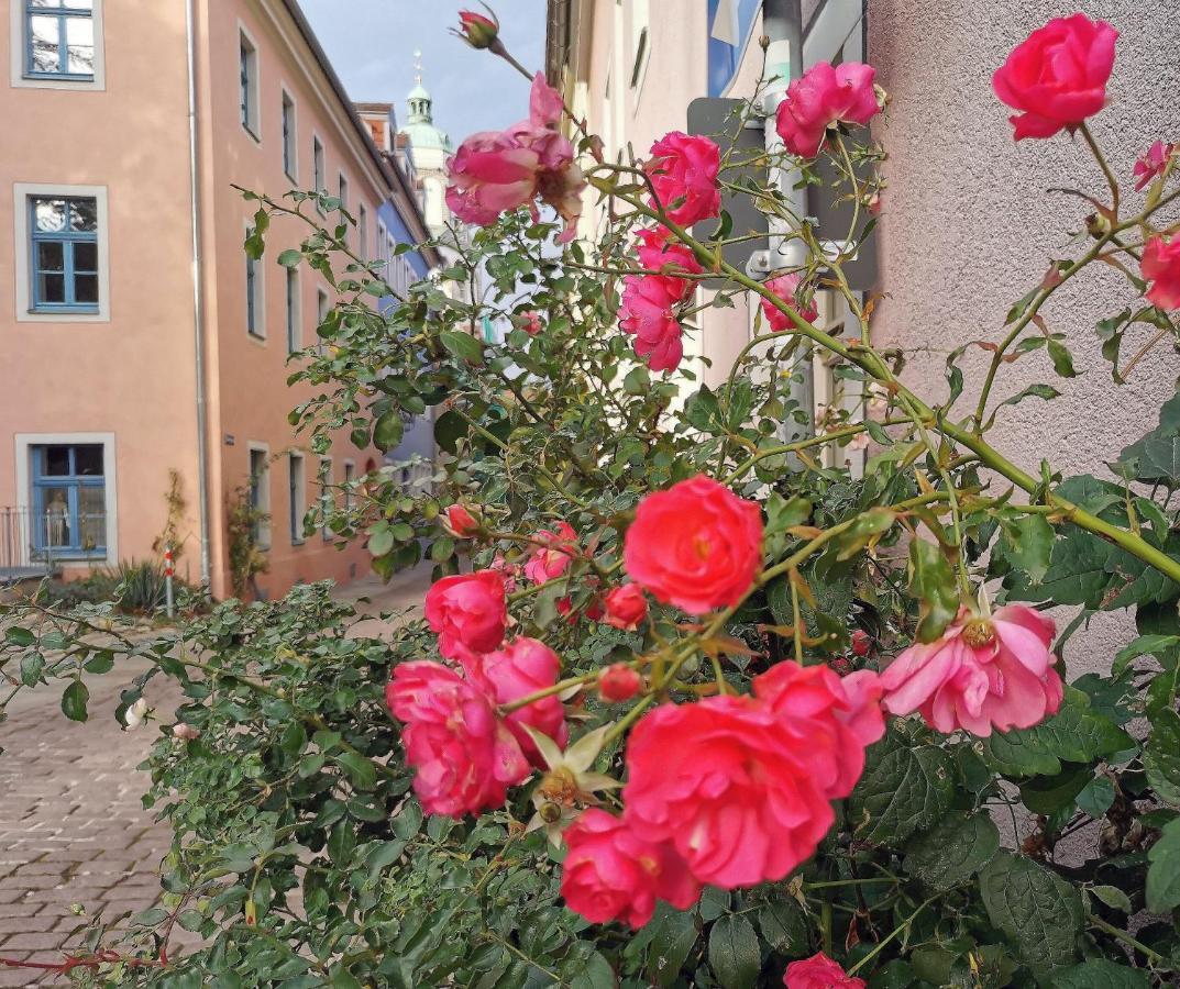 Fynbos Studio Dg In Der Altstadt, Frauenkirchenblick, Parkplatz Meißen 外观 照片